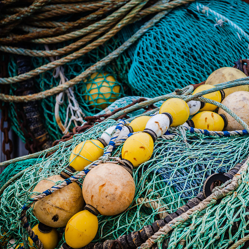 Fishing nets