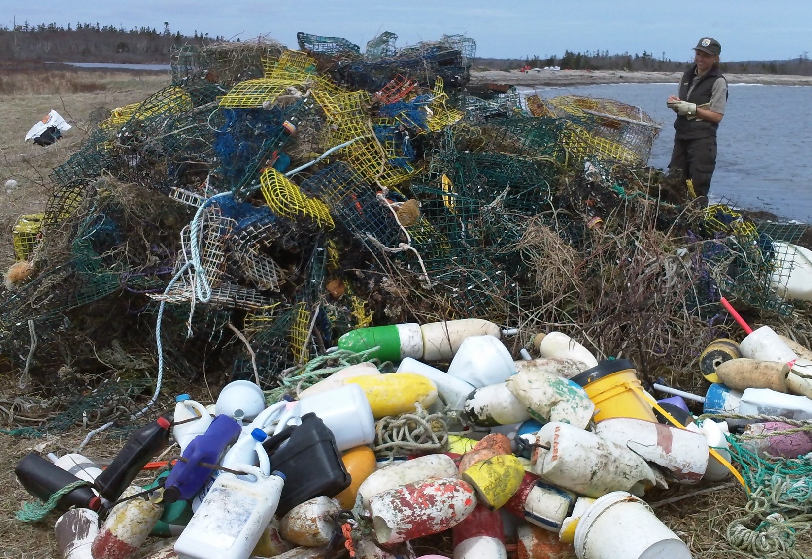 Webinar: Impacts Of Marine Debris On Birds In The Gulf Of Maine Region – Webinar 2, Filling Information Gaps