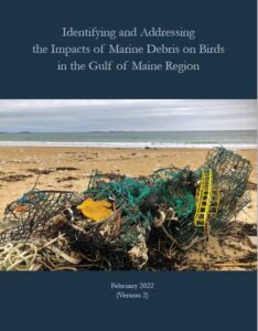 Impacts of Marine Debris on Birds in the Gulf of Maine Region