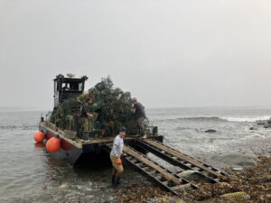 Loading crushed lobster traps onto a barge for removal. Photo credit: Maine Island Trail Association