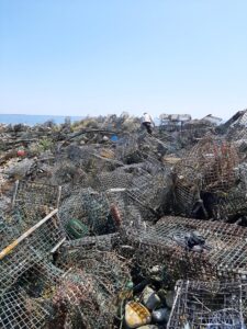 Derelict lobster traps on Hart Island before cleanup efforts. Photo credit: Helen Manning/USFWS