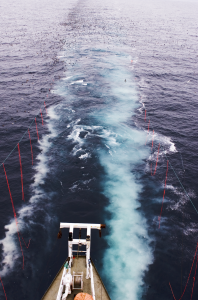 Bird-scaring line deployment. Photo: Ed Melvin/University of Washington